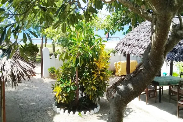 Mkindani Mtwara www- Zanzibar, Tanzania