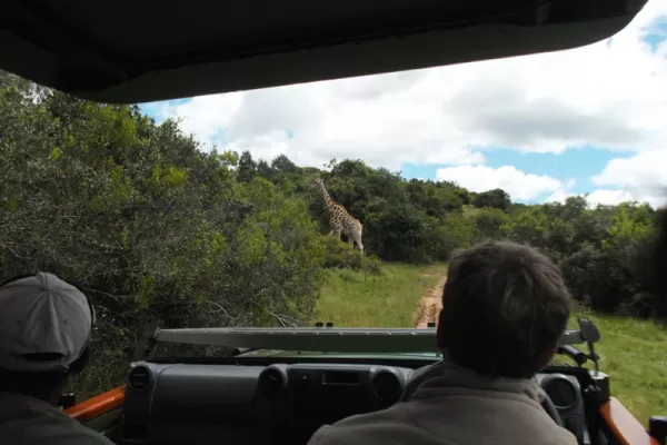 Port Elizabeth, South Africa Photo Gallery - South Africa