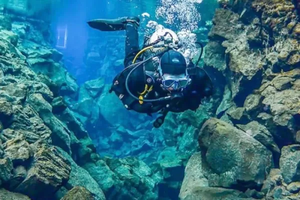 Underwater Conservation in Barcelona - Spain