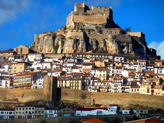 Morella