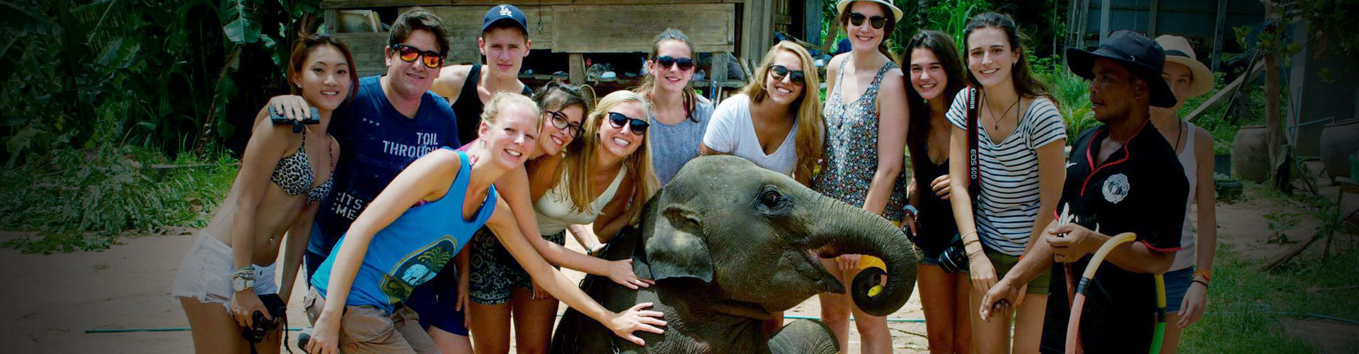 Esperienza con gli elefanti a Surin - Thailandia
