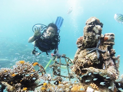 Programa Voluntário de Restauração de Recifes de Coral e Mergulho no Norte de Bali