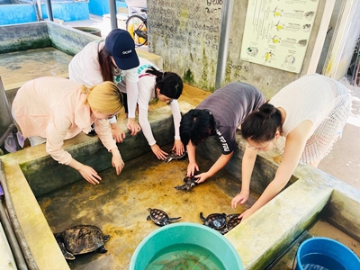 Turtle Conservation and Exploring Sri Lanka