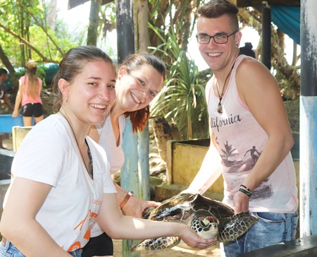 Voluntariado de conservación de tortugas marinas en Sri Lanka