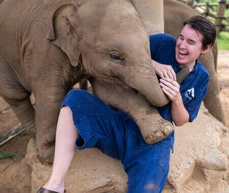 Volontariato con gli elefanti in Thailandia - Chiang Mai