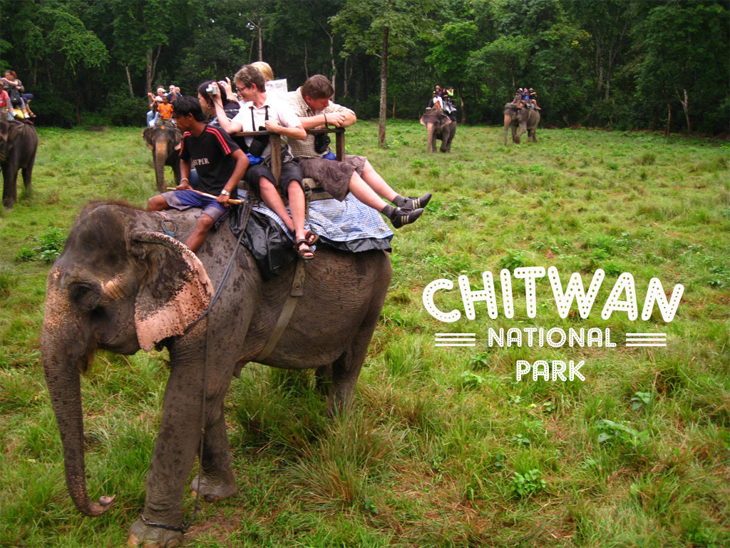 Chitwan-national-park