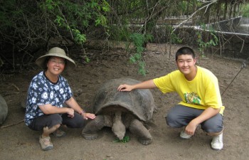 Turtle Conservation Program