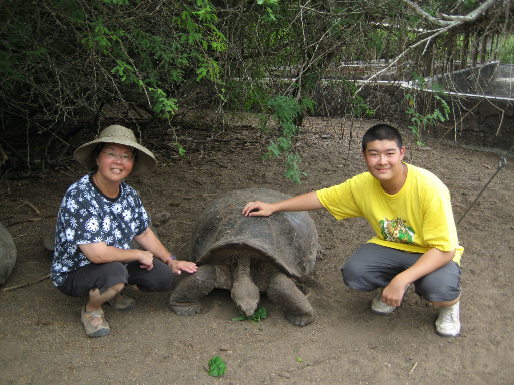 Top Reasons To Choose Wildlife Conservation Volunteering Projects