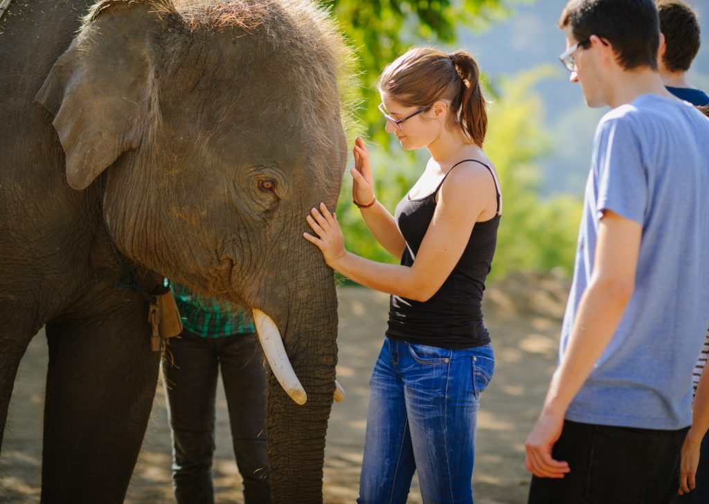 Thailand Volunteering Abroad