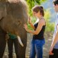 Volunteer Opportunities in Thailand