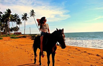 Volunteer in Sri lanka