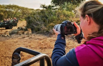 jungle safari in south africa