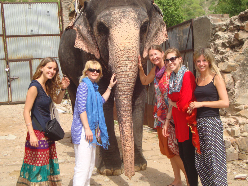 elephant camp jaipur india