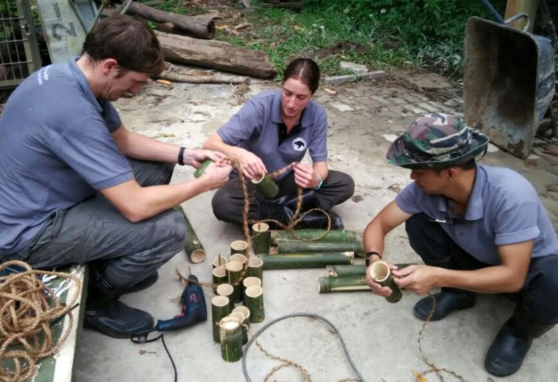 Sun Bear Conservation Volunteering Project, Malaysia