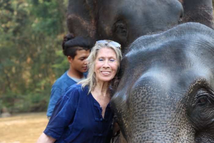 elephant to beaches volunteering in Thailand