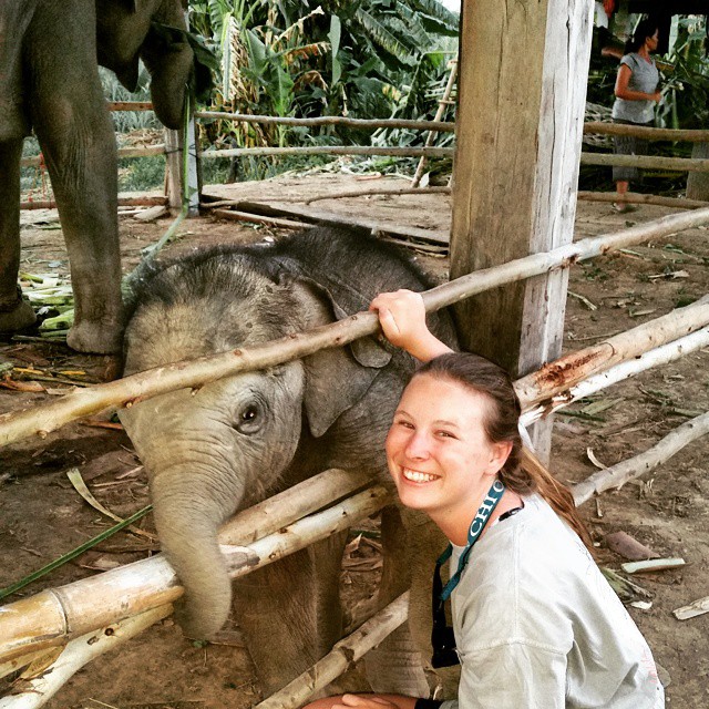 My Volunteering Experience in Thailand – Ayla Oden