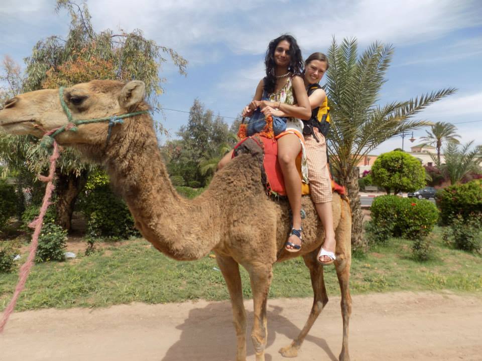 camel safari in Morocco