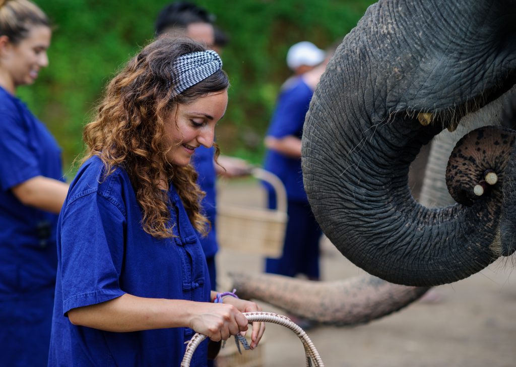 Short-Term Volunteering thailand volunteer abroad project