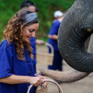 Choose To Volunteer For Elephants During Your Gap Year In Asia
