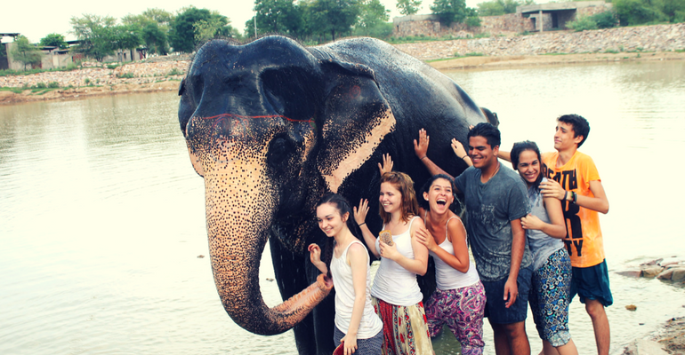 Volunteer With Elephants