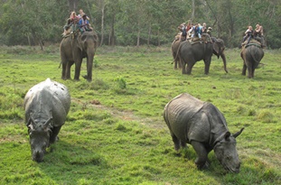 Chitwan National Park Nepal