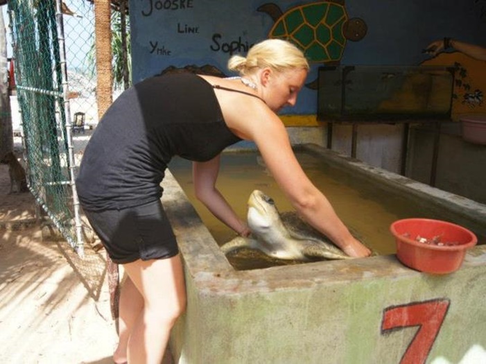 volunteer with sea turtles in Sri Lanka