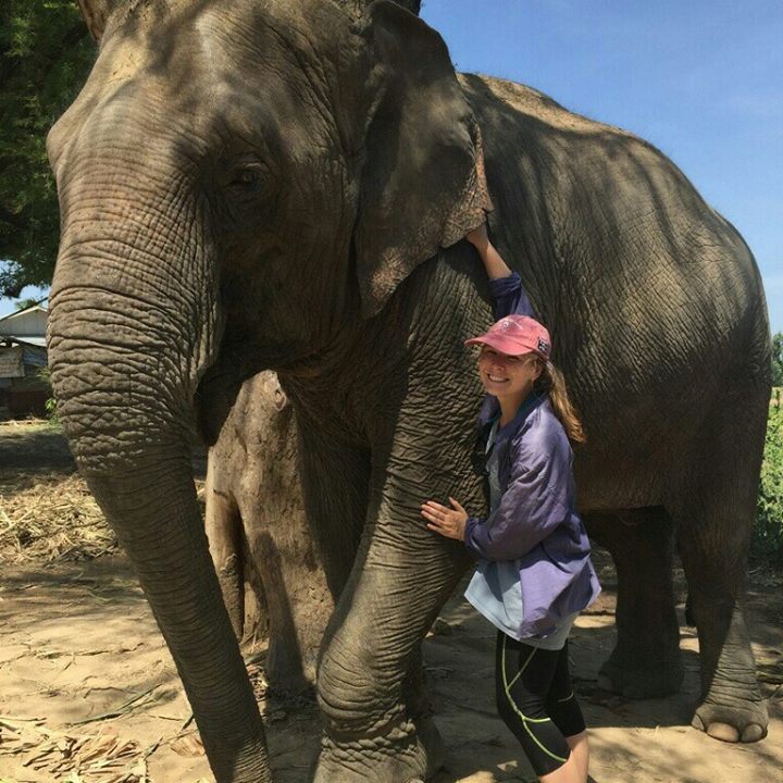 volunteer with elephants in Thailand