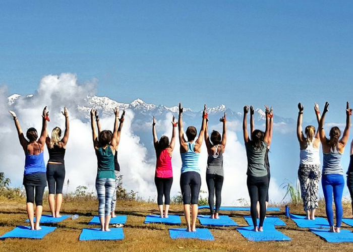 India yoga volunteering program