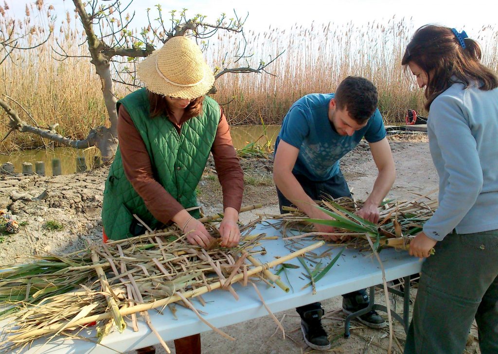 conservation in spain