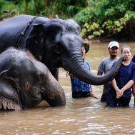 10 Steps To Become A Volunteer For A Wildlife Conservation Project in 2025