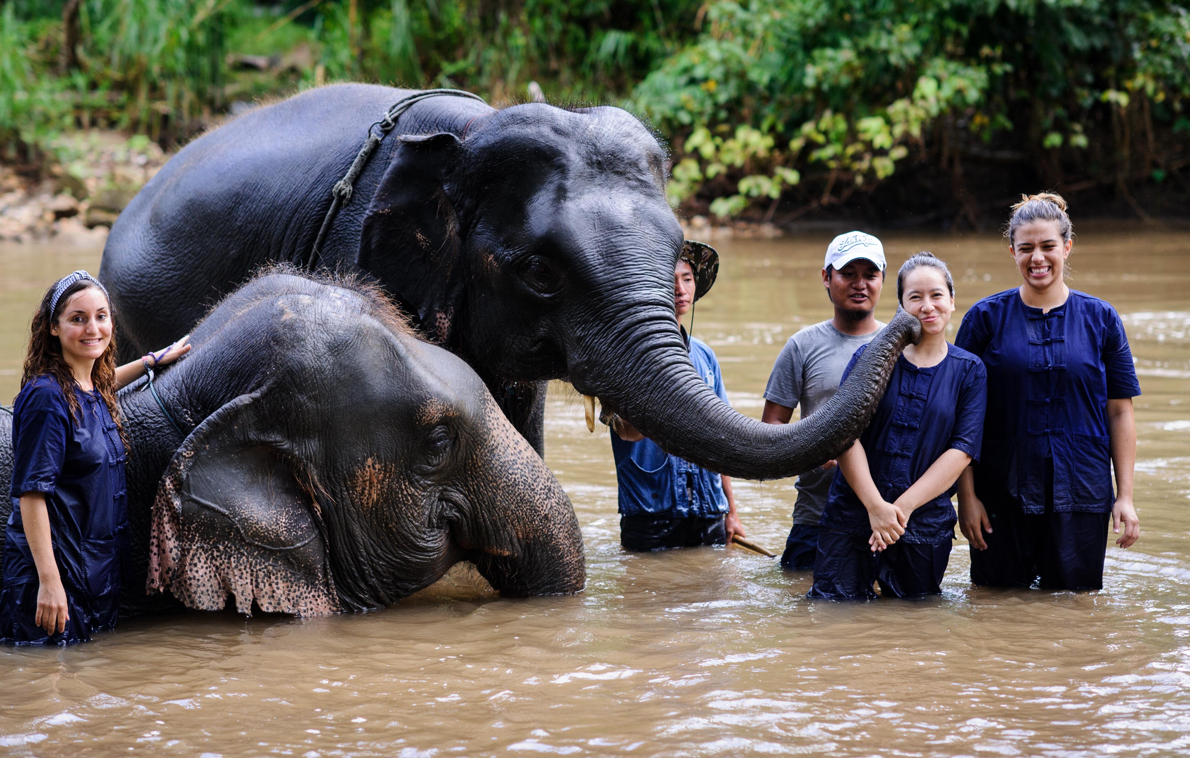 volunteer for a conservation project