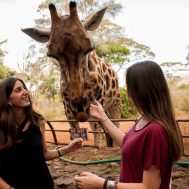 Why Should You Choose To Volunteer In Kenya In 2025?