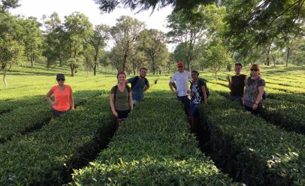 yoga and volunteer adventure
