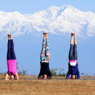 Everything You Need to Know About the Yoga and Volunteer Adventure in India