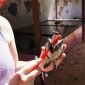volunteer work in costa rica