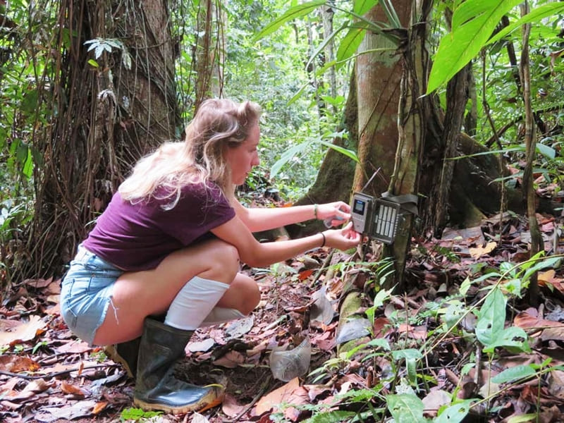 volunteer in costa rica rain forest conservation