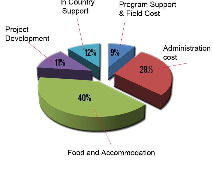 volunteering-cost