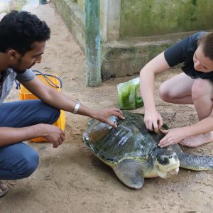 10 Best Places To Volunteer Abroad With Animals in 2023 – 2024