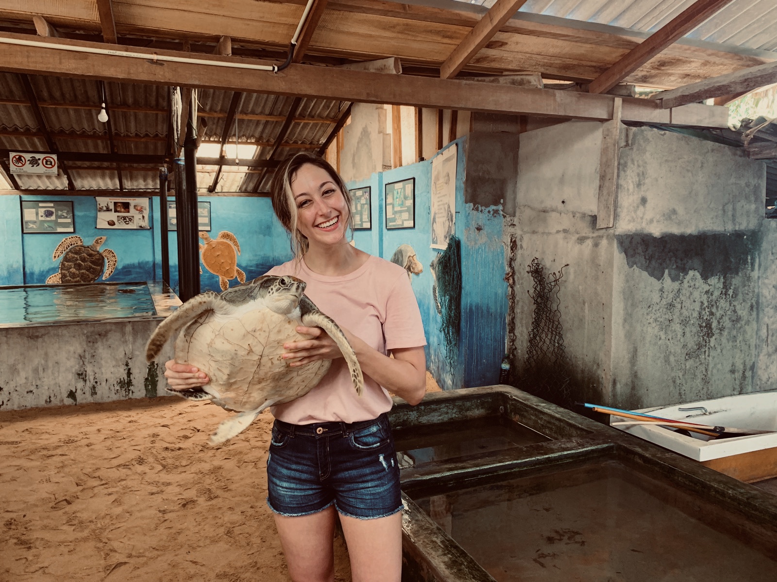 Affordable Sea Turtle Conservation Volunteer Programs Abroad