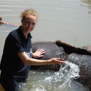 The Best Ways You Can Volunteer for Animals Today