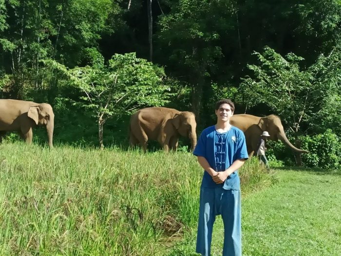 elephants in the background of volunteer