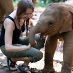 volunteer with elephant