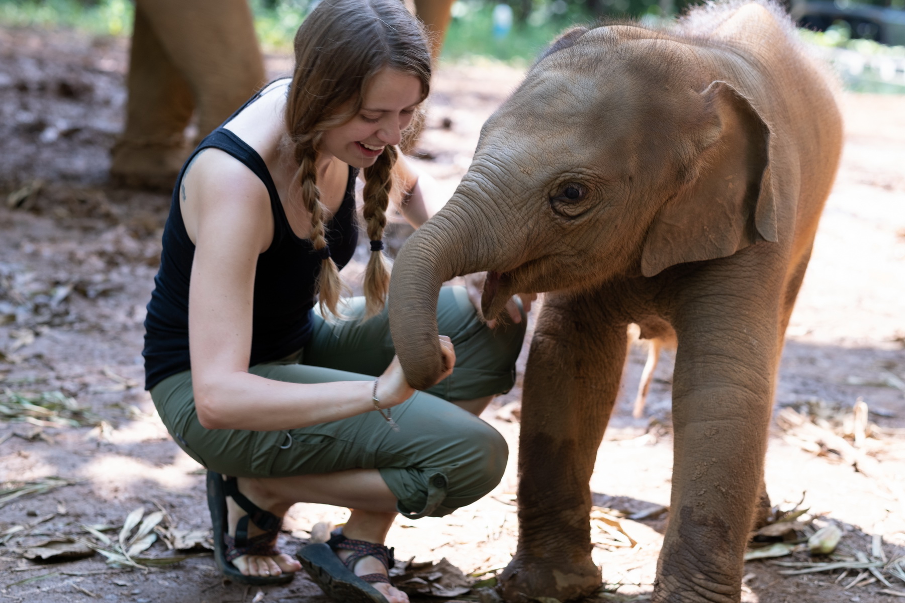 volunteer with elephant