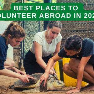 Best Places to Volunteer Abroad in 2023 – 2024