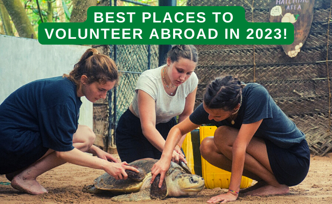 TOP places to volunteer in 2023!