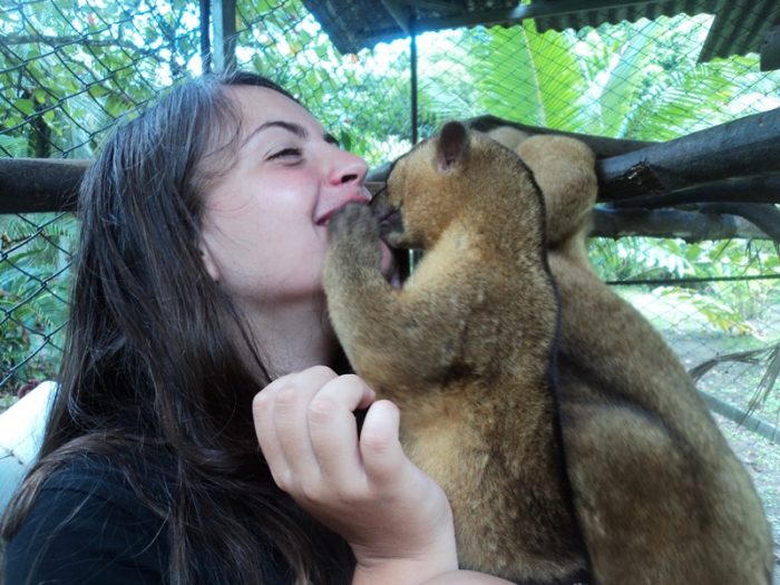 costa rica volunteering