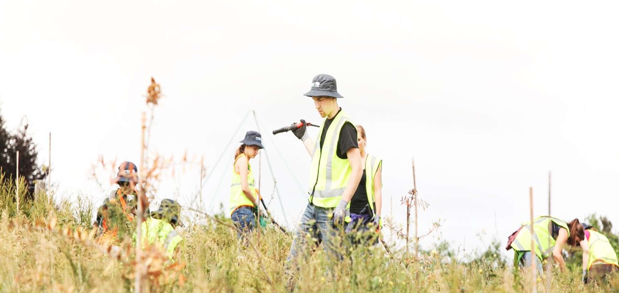 Leisten Sie Freiwilligenarbeit im Ausland in Neuseeland mit Volunteering Solutions