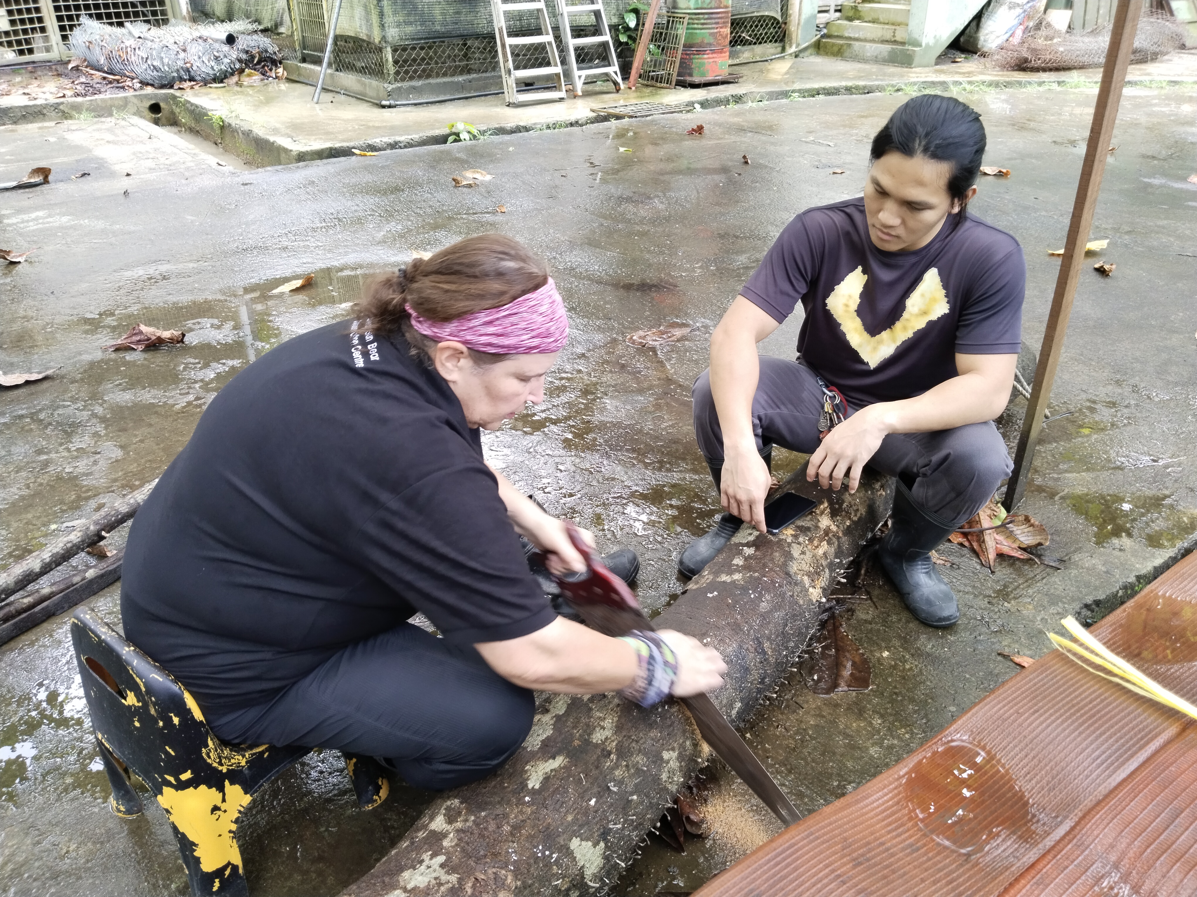 Melhor programa de voluntariado internacional para maiores de 50 anos em 2026