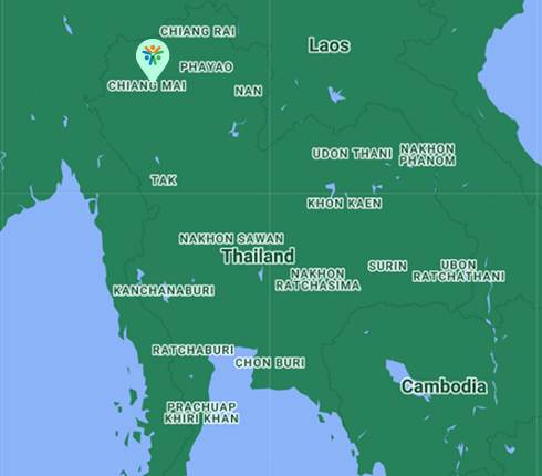 Volunteering in Thailand with Volunteering Solutions