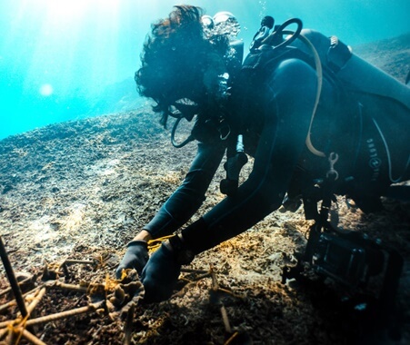 Marine Conservation Program in Bali